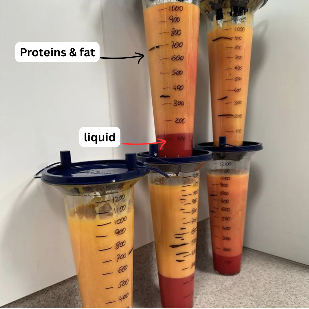 Proteins and fat buildup