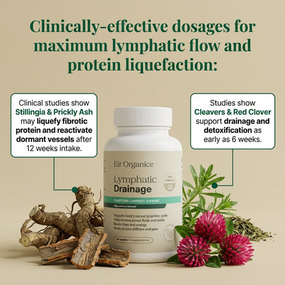 Eir™  Wild-Harvested Lymphatic System Reviver